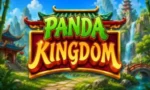Panda Kingdom